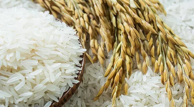 Beras Premium 5kg